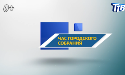 Собрание депутатов 5 созыв от 04.04.2019